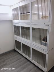 成都寵物貓寄養全攻略 讓您的愛貓在蓉城享受安心假期