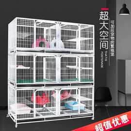 湖南鴿子養(yǎng)殖場
